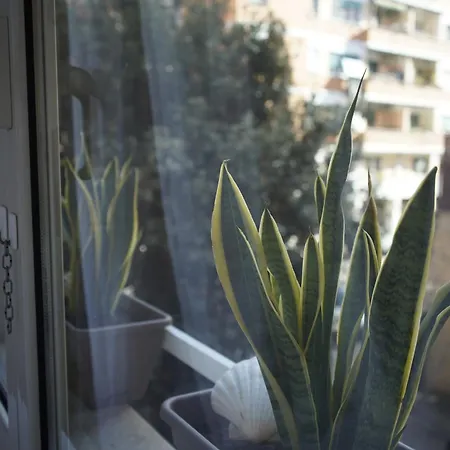 Apartment Hope
